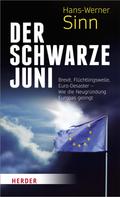 Hans-Werner Sinn: Der Schwarze Juni ★★★★★
