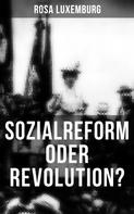 Rosa Luxemburg: Sozialreform oder Revolution? 