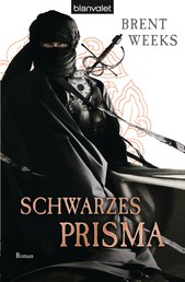 Schwarzes Prisma - Roman