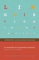 Carsten Sinner: La excepción en la gramática española 