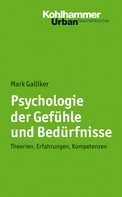 Mark Galliker: Psychologie der Gefühle und Bedürfnisse 