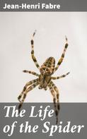 Jean-Henri Fabre: The Life of the Spider 