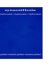 synaestHesia - rhythmvision