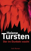 Helene Tursten: Der im Dunkeln wacht ★★★★