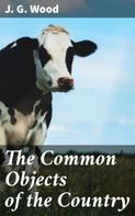 J. G. Wood: The Common Objects of the Country 