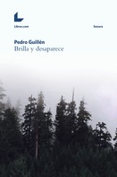 Pedro Guillén: Brilla y desaparece 