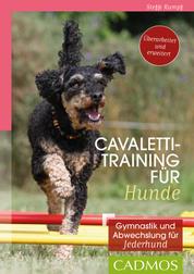 Cavalettitraining für Hunde - Gymnastik und Abwechslung für Jederhund