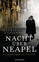 Nacht über Neapel - Kriminalroman
