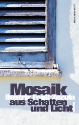Mosaik aus Schatten und Licht - Roman