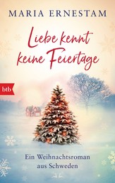 Liebe kennt keine Feiertage - Ein Weihnachtsroman aus Schweden