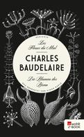 Charles Baudelaire: Les Fleurs du Mal - Die Blumen des Bösen ★★★★★