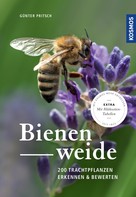Günter Pritsch: Bienenweide 