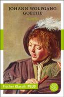 Johann Wolfgang von Goethe: Novelle ★★★★★