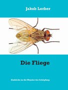 Jakob Lorber: Die Fliege 