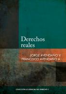 Jorge Avendaño: Derechos reales 