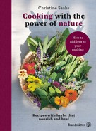 Christine Saahs: Cooking with the power of nature 