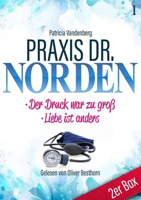 Praxis Dr. Norden 1 – Arztroman