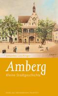 Johannes Laschinger: Amberg 