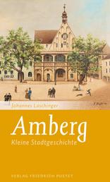 Amberg - Kleine Stadtgeschichte