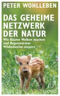 Peter Wohlleben: Das geheime Netzwerk der Natur ★★★★