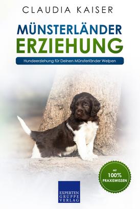Münsterländer Erziehung - Hundeerziehung für Deinen Münsterländer Welpen