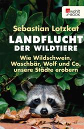 Landflucht der Wildtiere - Wie Wildschwein, Waschbär, Wolf und Co. unsere Städte erobern