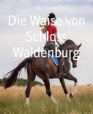 Ellen Gaber: Die Waise von Schloss Waldenburg 