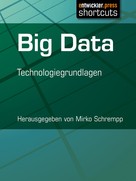 Mirko Schrempp: Big Data ★★★