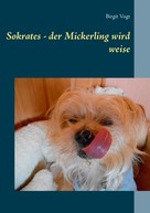 Birgit Vogt: Sokrates - der Mickerling wird weise 