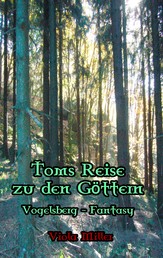 Toms Reise zu den Göttern - Vogelsberg Fantasy