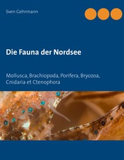 Die Fauna der Nordsee - Mollusca, Brachiopoda, Porifera, Bryozoa, Cnidaria et Ctenophora
