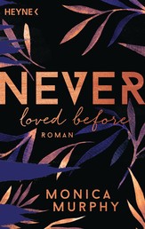 Never Loved Before - Roman