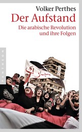 Der Aufstand - Die arabische Revolution und ihre Folgen