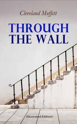 Through the Wall (Illustrated Edition)