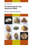 Jürgen Höflinger: Die Brachiopoden des deutschen Malm 