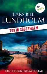 Tod in Södermalm: Der zweite Fall für Kommissar Hake - Ein Stockholm-Krimi