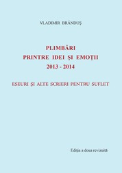 Plimbari printre idei si emotii 2013-2014 - Eseuri si alte scrieri pentru suflet
