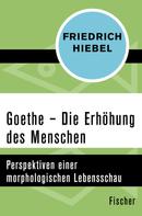 Friedrich Hiebel: Goethe 