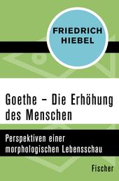 Goethe - Die Erhöhung des Menschen. Perspektiven einer morphologischen Lebensschau