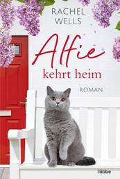 Alfie kehrt heim - Ein Katzenroman