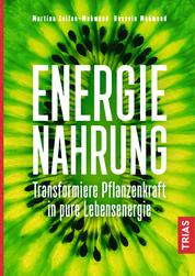 Energienahrung - Transformiere Pflanzenkraft in pure Lebensenergie