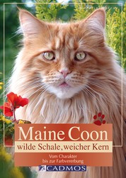 Maine Coon - Wilde Schale weicher Kern - Vom Charakter bis zur Farbvererbung