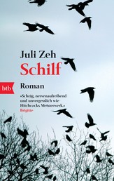 Schilf - Roman