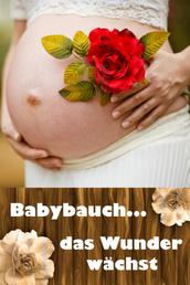 Babybauch...das Wunder wächst - Alles rund um Schwangerschaft, Geburt und Babyschlaf! (Schwangerschafts-Ratgeber)