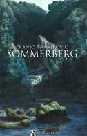 Franjo Franjkovic: Sommerberg 