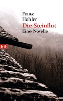 Franz Hohler: Die Steinflut ★★★★★