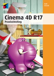 Cinema 4D R 17 - Praxiseinstieg