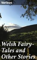 Various: Welsh Fairy-Tales and Other Stories 