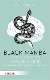 Black Mamba oder die Macht der Imagination - Wie unser Gehirn die Wirklichkeit bestimmt