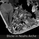 Florian Söll: Blicke in Noahs Arche 